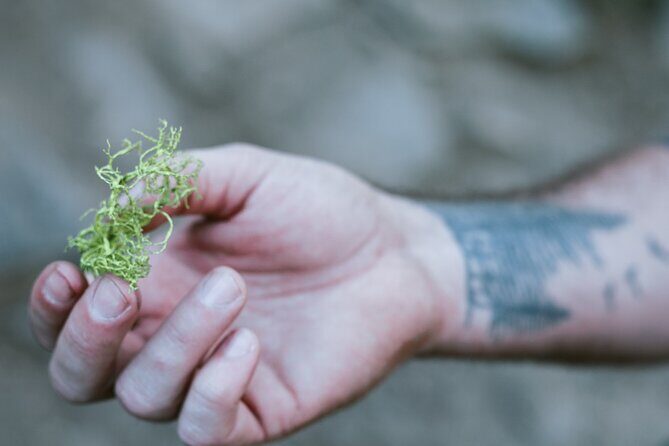 The Evolution of Yosemite 3 Hour Walking Tour - Key Points