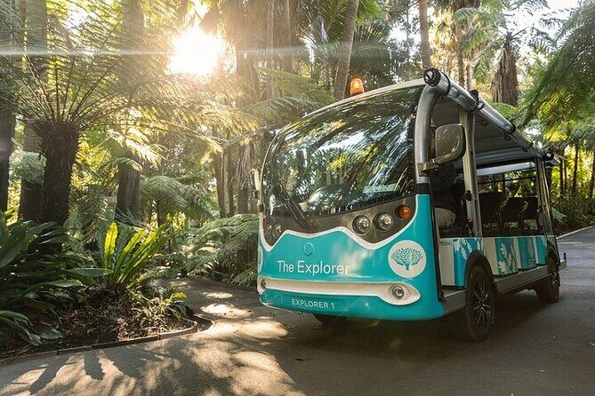 The Explorer - Melbourne Gardens - A Closer Look at the Tour Experience