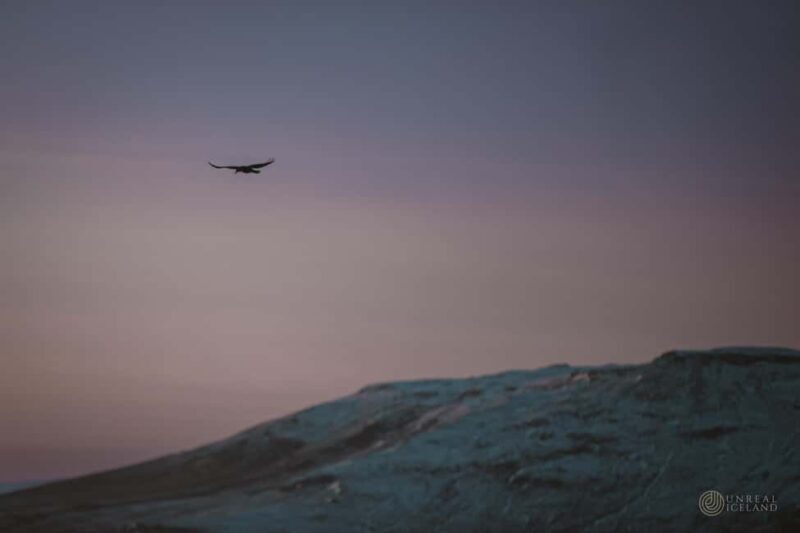 The Famous Golden Circle: A Private Tour - Final Thoughts