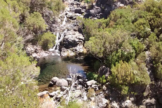 The Fantastic Cascades - What the Reviews Say