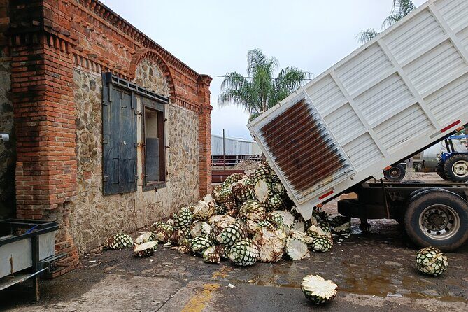 The Fire TOUR - Pyramids, Volcanoes, Agaves & Tequila - FAQs