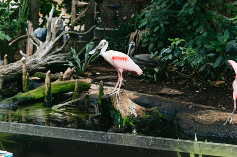 The Florida Aquarium Ticket - Logistics and Practical Tips