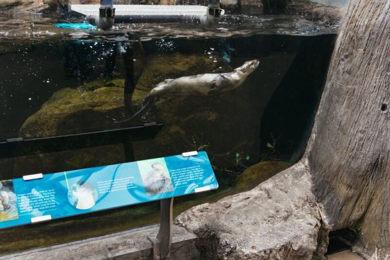 The Florida Aquarium Ticket - What the Reviews Say