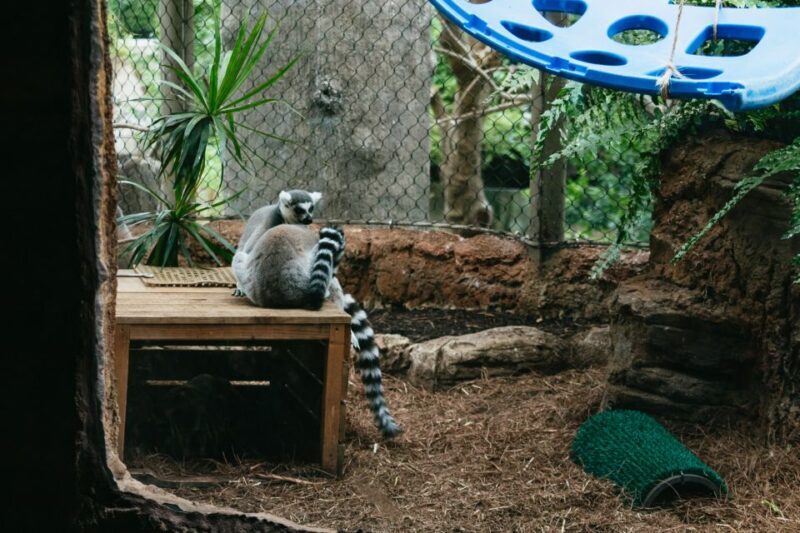 The Florida Aquarium Ticket - Final Thoughts: Is It Worth It?