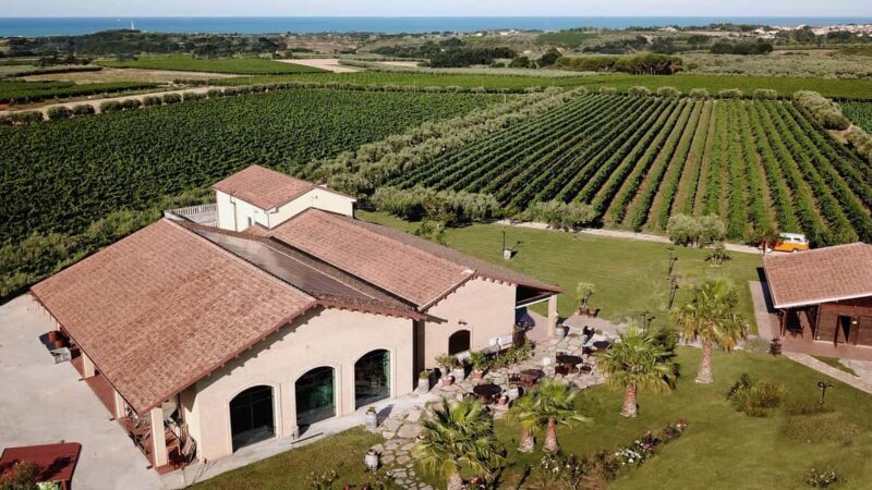 The Fontefico Style: a guided tour of the winery and a tasting lunch - Key Points