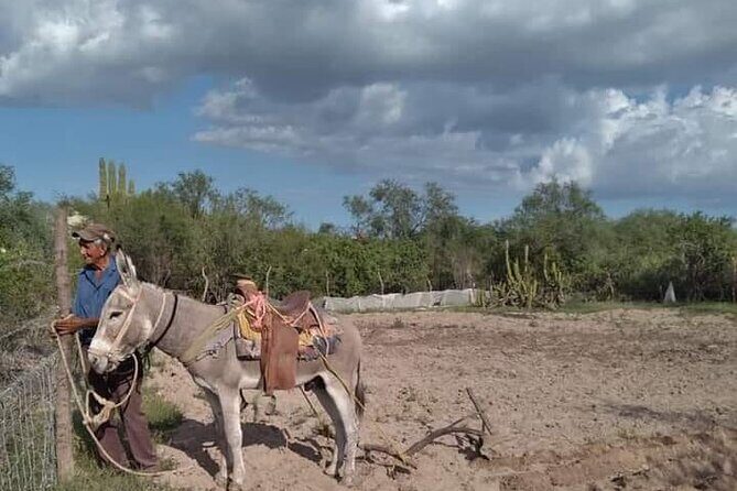 The forgotten minning towns of Baja Sur - FAQs