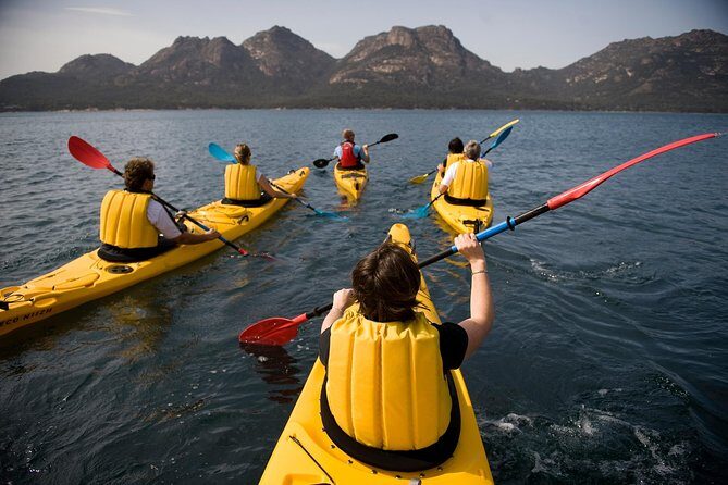 The Freycinet Paddle - A Closer Look at the Freycinet Paddle Experience