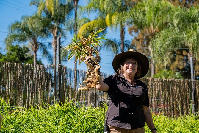 The Ginger Factory Play, Taste & Discover Bundle Experience - Practical Tips for Visiting