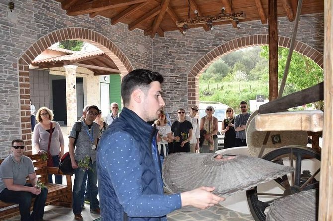 The Governor's Olive Mill Tour with Olive Oil Tasting - Should you book the Governor Olive Mill Tour?