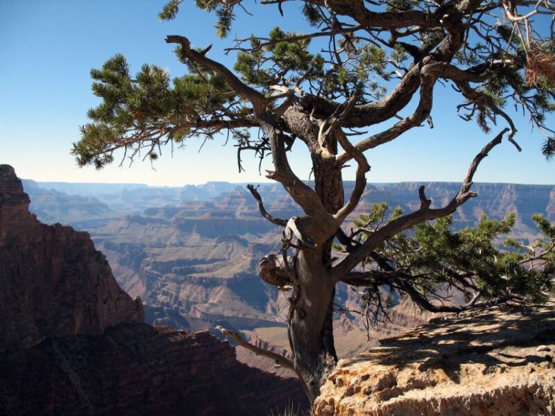 The Grand Canyon Classic Tour From Sedona, AZ - What Travelers Say