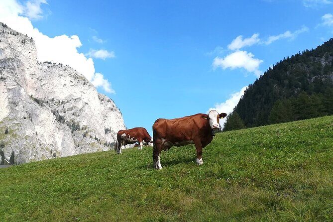 The Grand Dolomites Tour from Lake Garda - What You Can Expect From the Experience