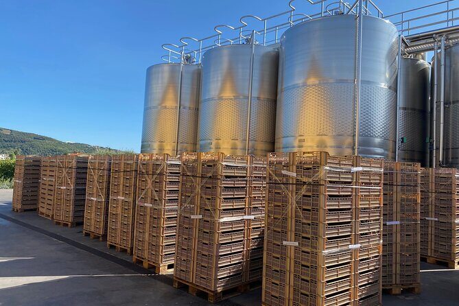 The Grand tour of Valpolicella: 2 Wineries, Lunch & Amarone focus - FAQ