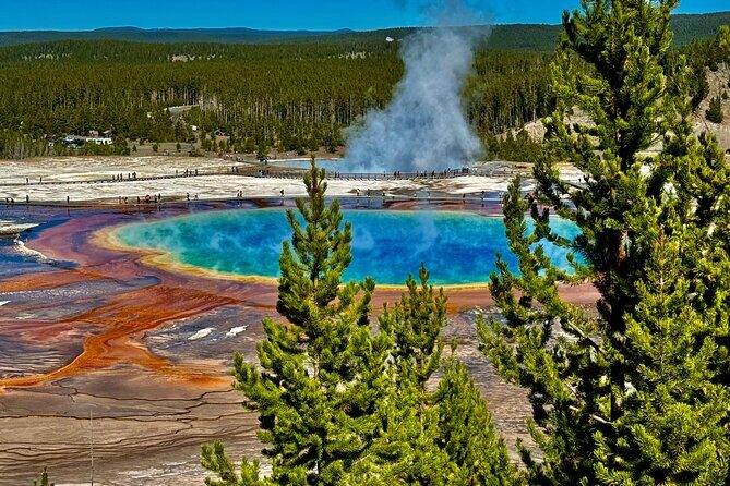 The Grand Yellowstone 3 day private experience from Cody Wyoming - The Itinerary in Detail