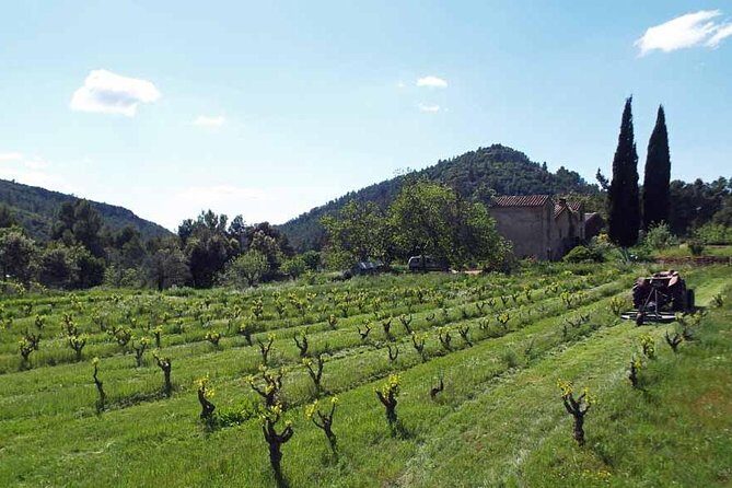 The Grape Escape! Cycling in Beautiful Scenery with Wine Tasting - What to Expect on the Tour