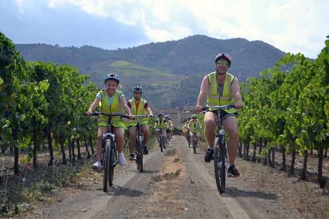 The Grape Escape! Cycling in Beautiful Scenery with Wine Tasting - What Could Be Better?