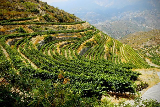 The Grape Escape: Troodos Mountains thru Wine Small Group Tour 7hrs - Exploring the Troodos Mountains and Villages