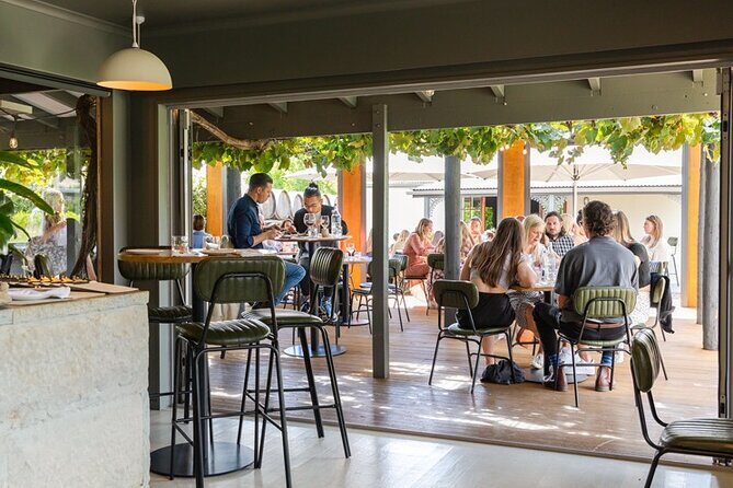 The Grape Vine - Key Points