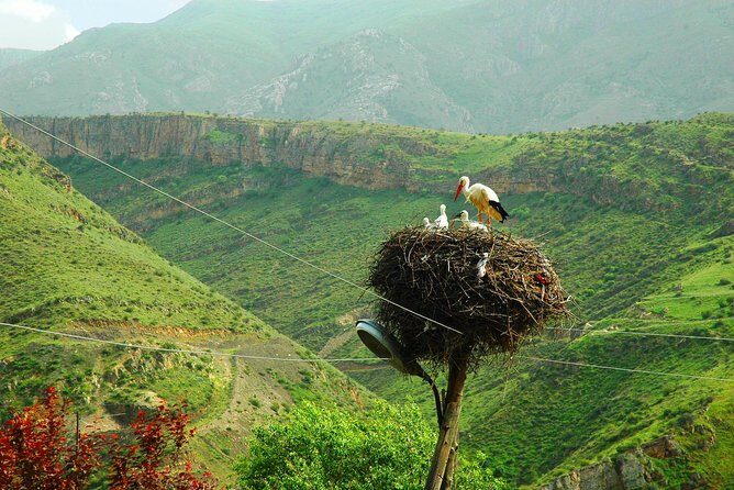 The Great Beauty of Armenia: 7-Day Culture and Cuisine Tour - FAQs