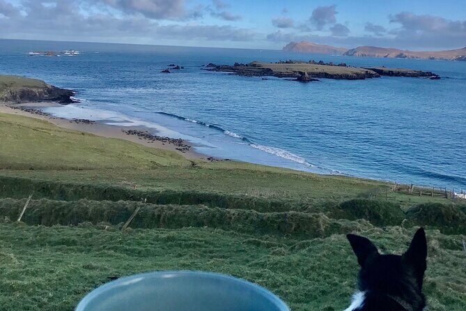The Great Blasket Island Experience - Premium Tour - Who Is This Tour Best For?