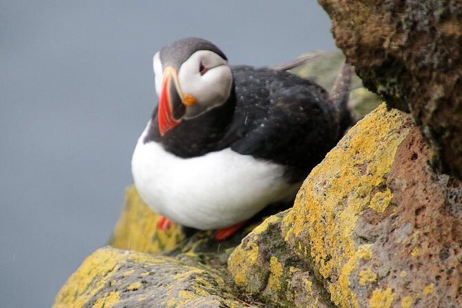 The Great Round Tour: Around Iceland in 13 Days - An Overview of the Tour