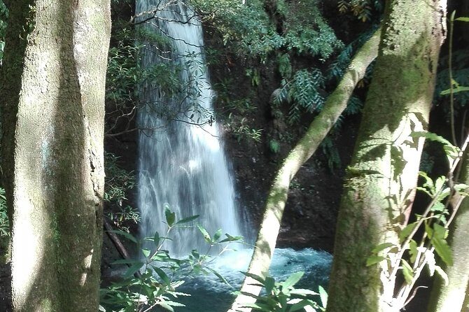 The Great waterfalls Hiking tour - Exploring Sao Miguel’s Northeast: What to Expect