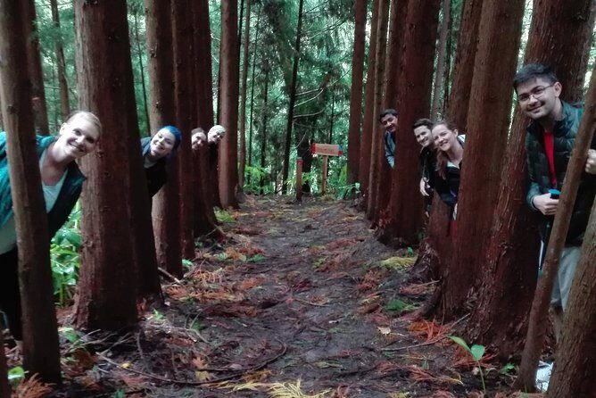 The Great waterfalls Hiking tour - Real Guest Perspectives