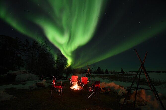 The Greatest Valuable Aurora Manor & Hunting Tour --Exclusive Tour Operator - Who Will Love This Tour?