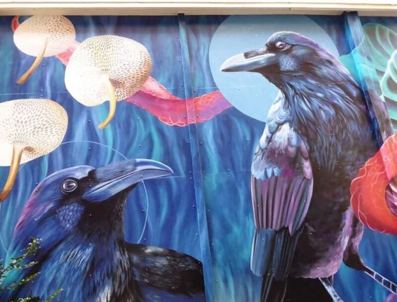 The Hague: a guided tour in French, mixing Street Art and History - Final thoughts