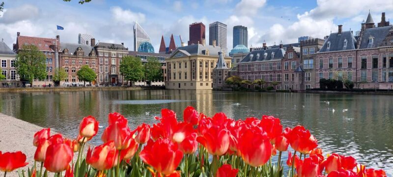 The Hague: History & Architecture Walk - Key Points
