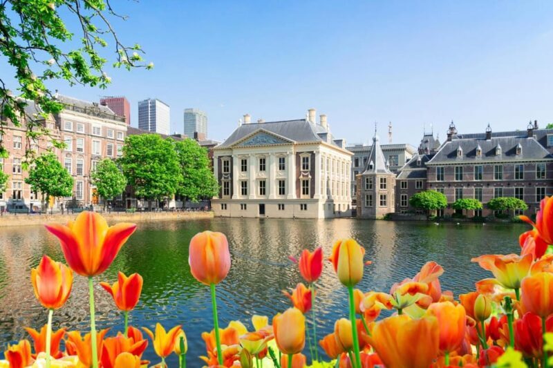 The Hague: Insta-Perfect Walk with a Local - What to Expect from the Insta-Perfect Walk