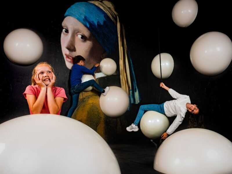 The Hague: Madurodam Miniature Park Entry Ticket - An In-Depth Look at Madurodam