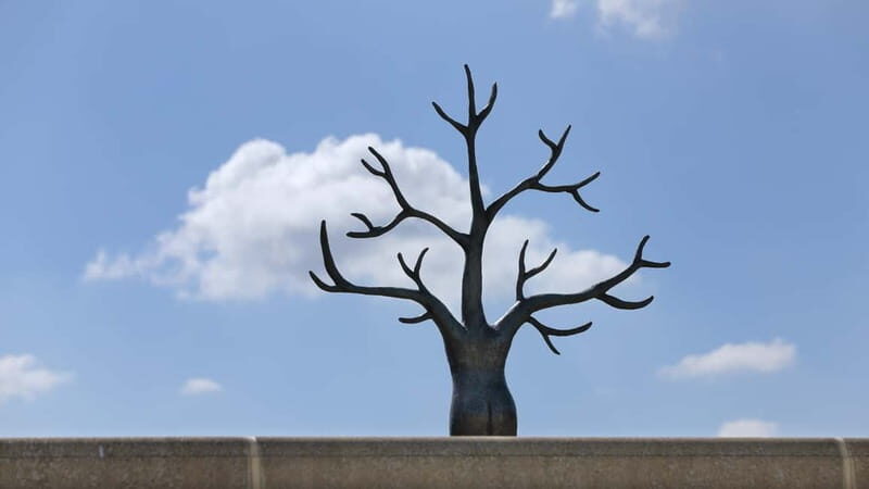 The Hague: Museum Beelden aan Zee Entry Ticket - Viewing Art with a View