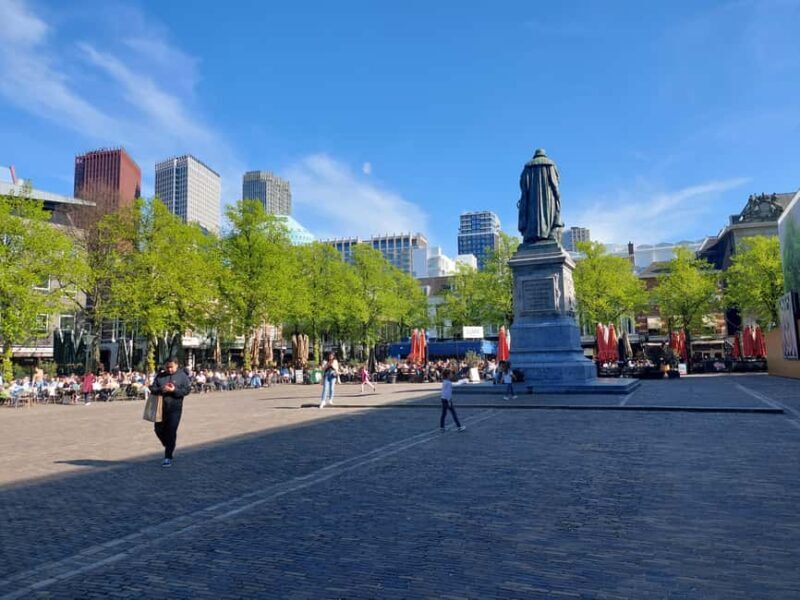 The Hague Private City Tour with an Architect (RU) - Key Points