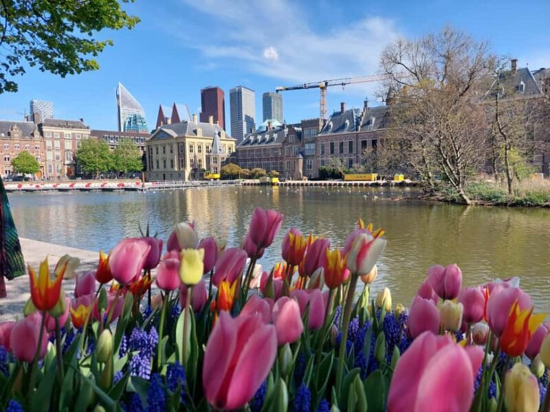 The Hague Private City Tour with an Architect (RU) - Final Thoughts