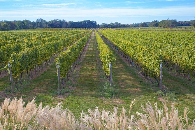 The Hamptons and Long Island Wineries Private Tour - An In-Depth Look at the Tour