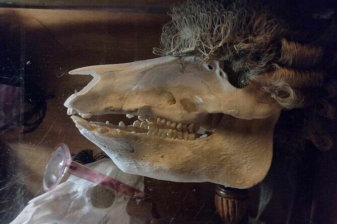 The Haunted Pubs of Old London: Small Group Tour - FAQ