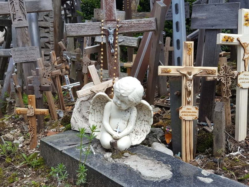 The Hill of Crosses: Full-Day Tour from Vilnius - Who Is This Tour Best For?