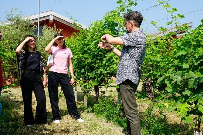 The history of Amarone: tour and vertical tasting of 3 decades - Who Would Enjoy This Experience?