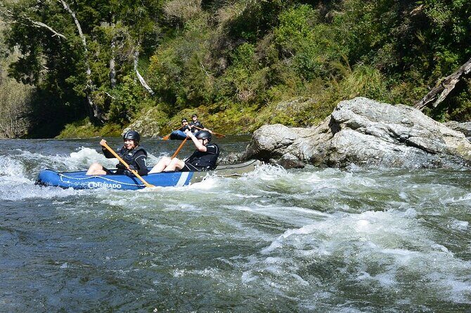 The Hobbit Barrel Run Rafting Tour on the Pelorus River - Overview of the Hobbit Barrel Run Rafting Tour