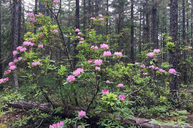 The Hood-Columbia Loop: Timberline, Orchards, and Waterfalls - FAQ
