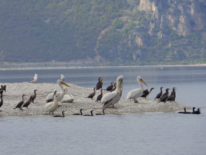 The Island of the Snakes - Golem Grad - Key Points