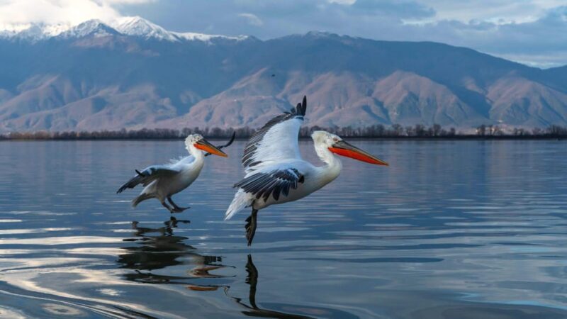 The Island of the Snakes - Golem Grad - The Value of the Experience