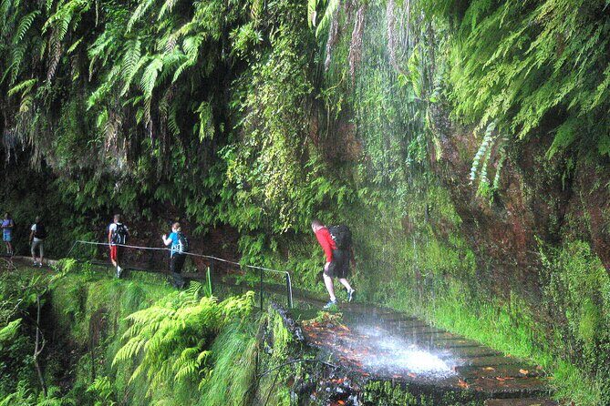 The King's Levada - Levada do Rei - Exploring Madeira’s Levada do Rei: An Honest Look at the Kings Levada Tour