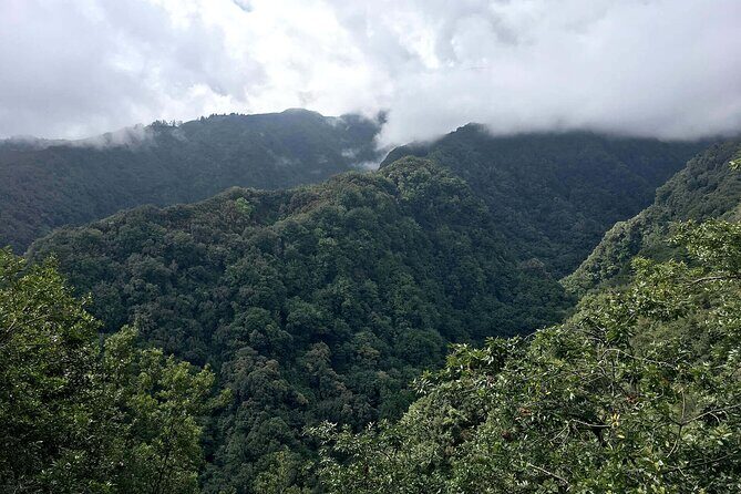 The King's Levada - Levada do Rei - What You Can Expect from the Levada do Rei Experience