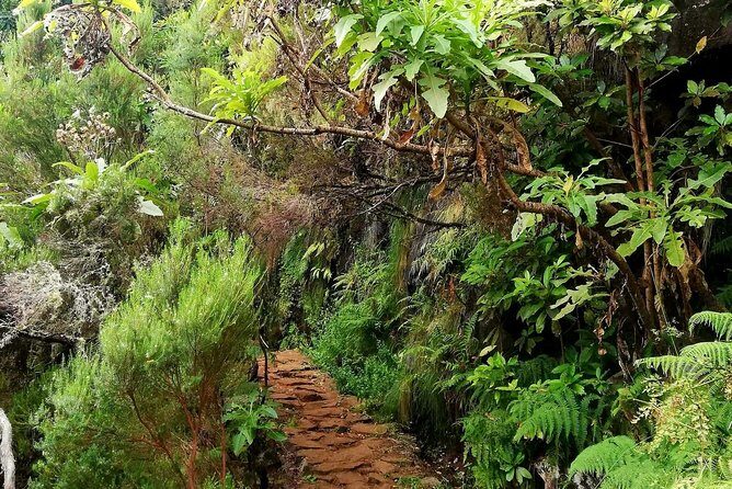 The Lakes Walk - What You Can Expect During the Tour