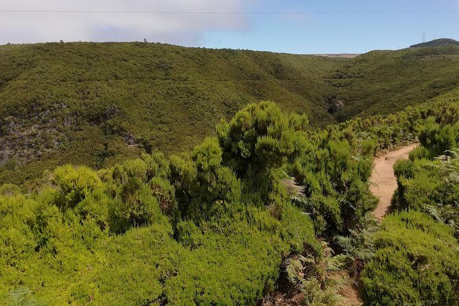 The Lakes Walk - Who This Tour Is Best For
