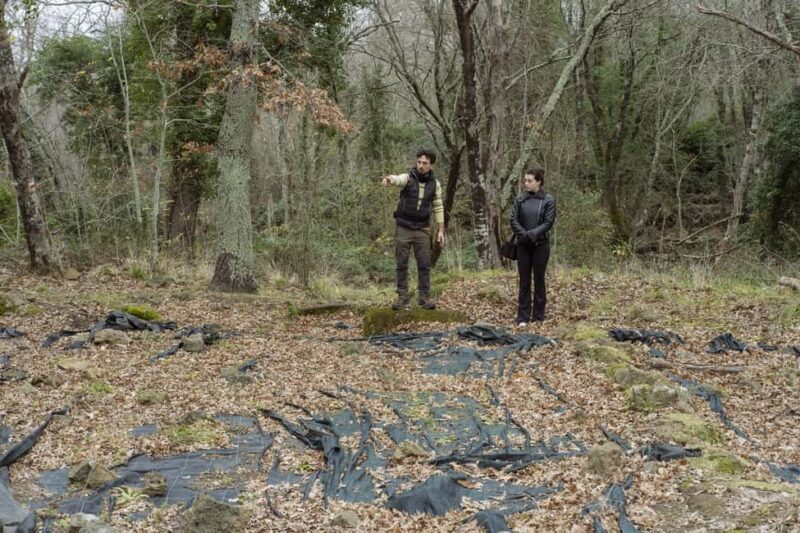 The Lamone Forest: among brigands and charcoal burners - Key Points