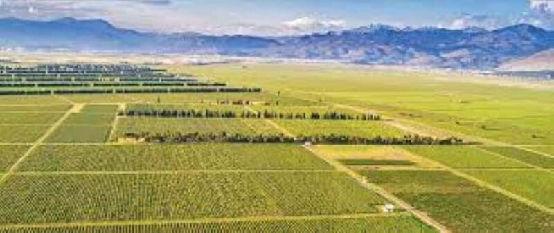 The largest winery in Montenegro: private tour & transport - Key Points