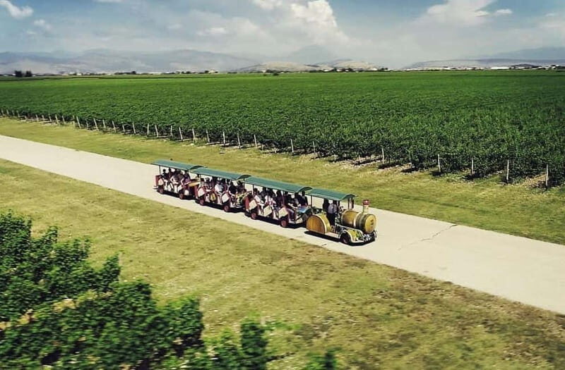 The largest winery in Montenegro: private tour & transport - The Experience in Detail