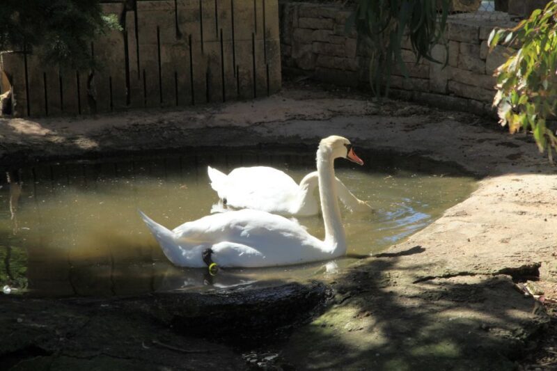 The Limestone Heritage Park and Gardens (Entry Ticket) - FAQ: Your Questions Answered